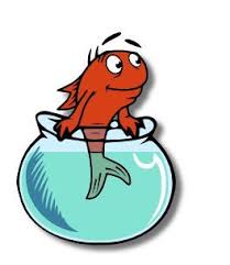 footer_image