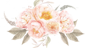 footer_image