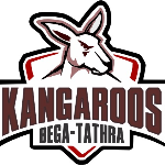 host icon