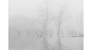 footer_image