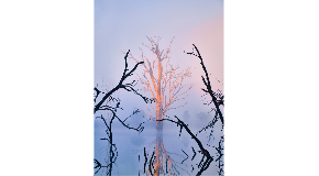 footer_image