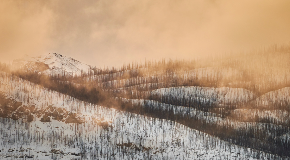 footer_image