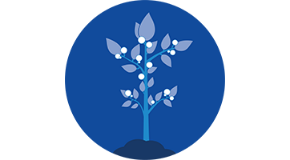 footer_image