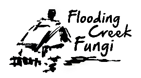 footer_image