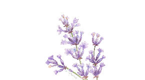 footer_image
