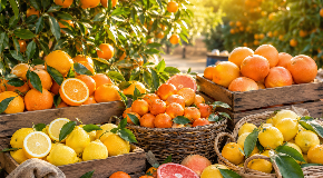 footer_image