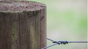 footer_image