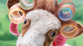 footer_image