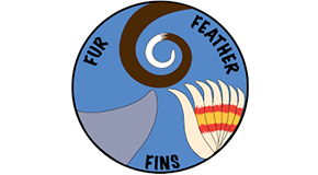 footer_image