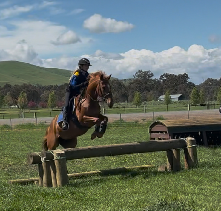 Xc Course Riding XC Schooling Mansfield Pony Club Tickets, Mansfield Pony Club ...