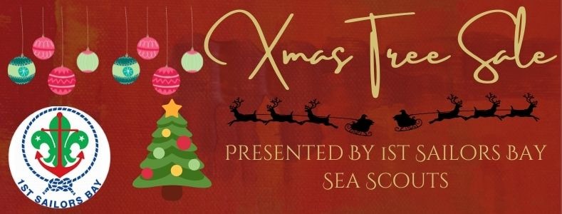 Chico Boy Scouts Christmas Trees 2022 Boy Scout Christmas Tree Pickup Near Me - Drivecoolcool21