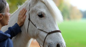 footer_image