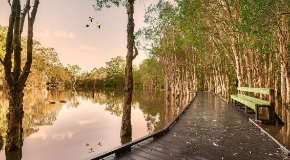footer_image