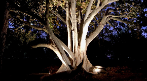 footer_image