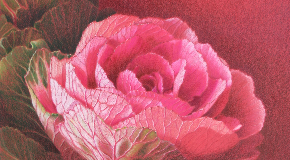 footer_image