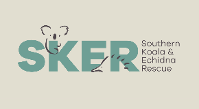 footer_image
