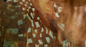 footer_image