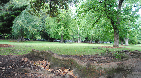 footer_image