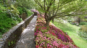 footer_image
