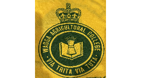 footer_image