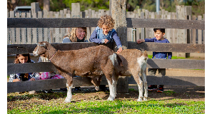 footer_image