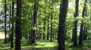 footer_image