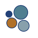 host icon
