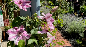 footer_image