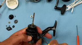 footer_image
