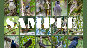 footer_image