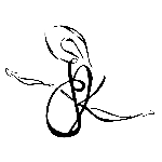 host icon