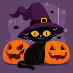 host icon