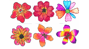 footer_image