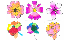 footer_image