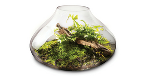 footer_image