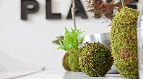 footer_image