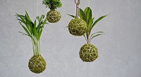 footer_image