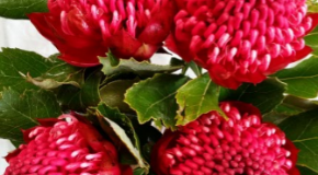 footer_image