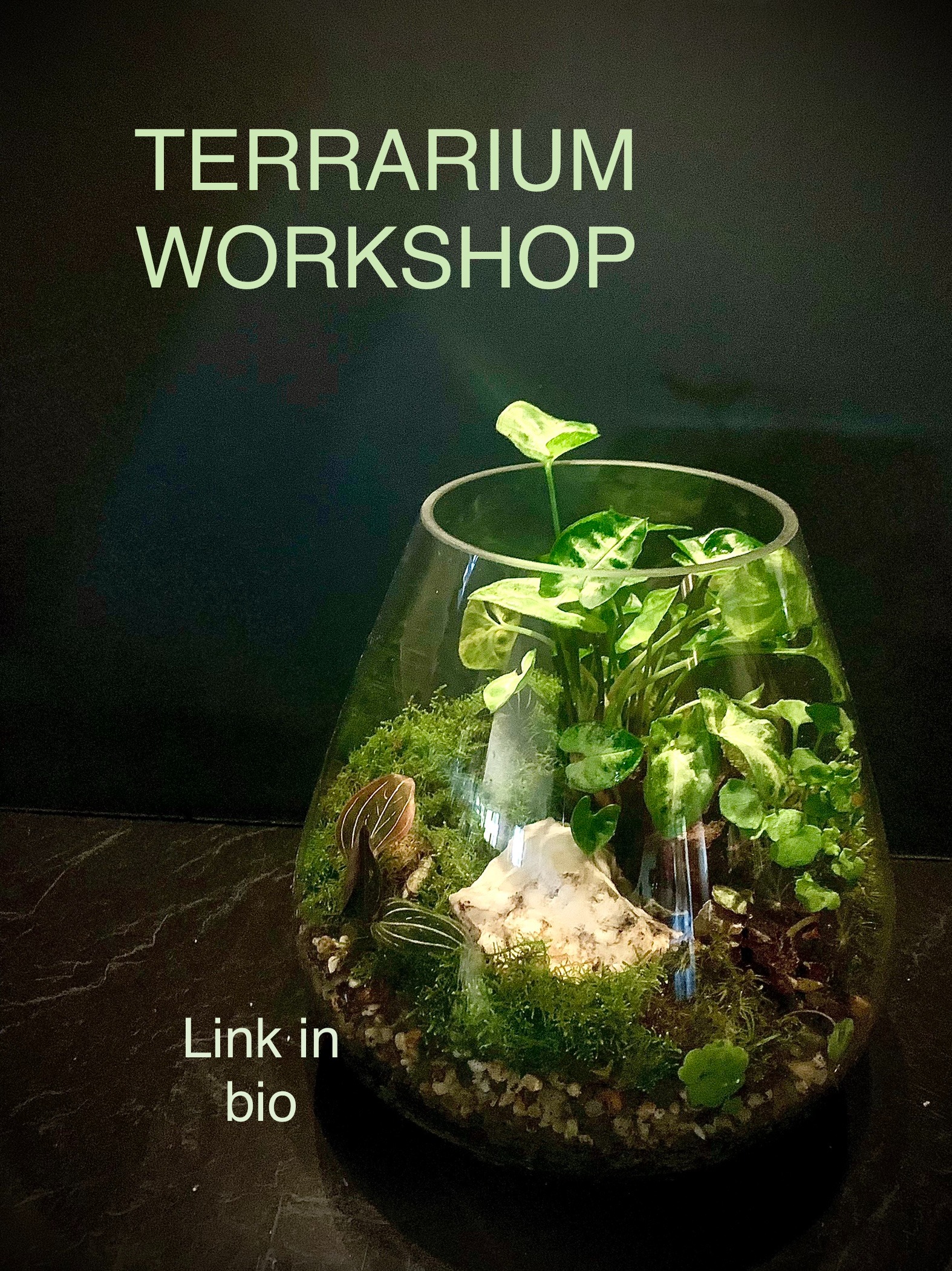 Terrarium Tickets, The Green House Ballarat, TryBooking Australia