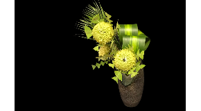 footer_image