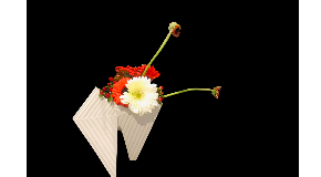 footer_image