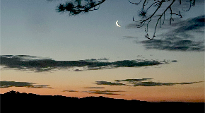 footer_image