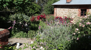 footer_image