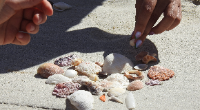 footer_image