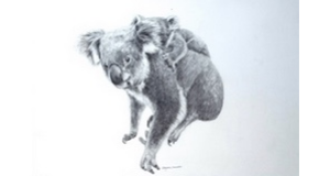 footer_image