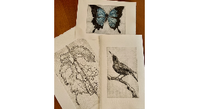 footer_image