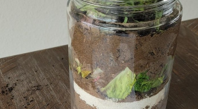 footer_image