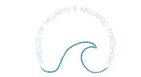footer_image