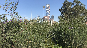 footer_image