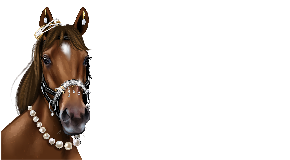 footer_image